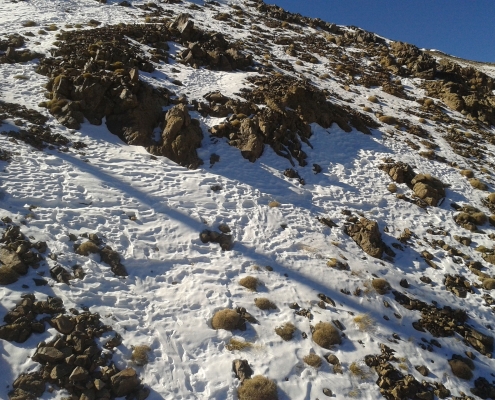 Ski à Oukaimeden au Maroc