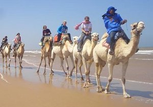 Activités à Essaouira au Maroc