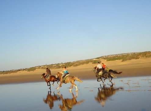 Promenade à Cheval à Essaouira