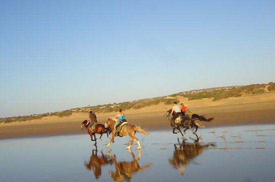 Promenade à Cheval à Essaouira